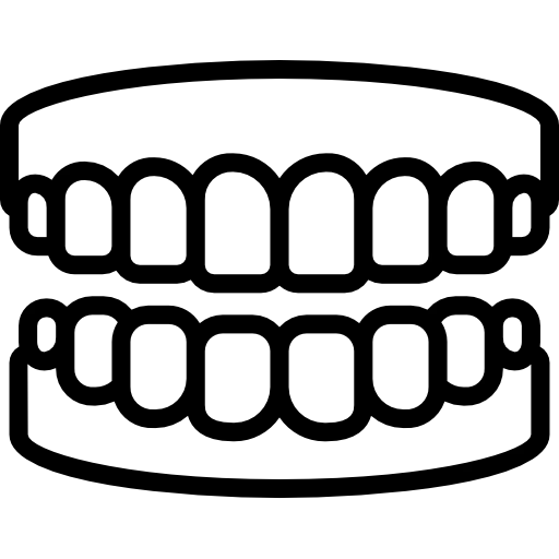 teeth